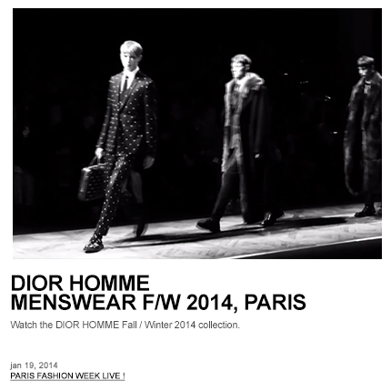 DIOR MENSWEAR FW 2014, PARIS (video)