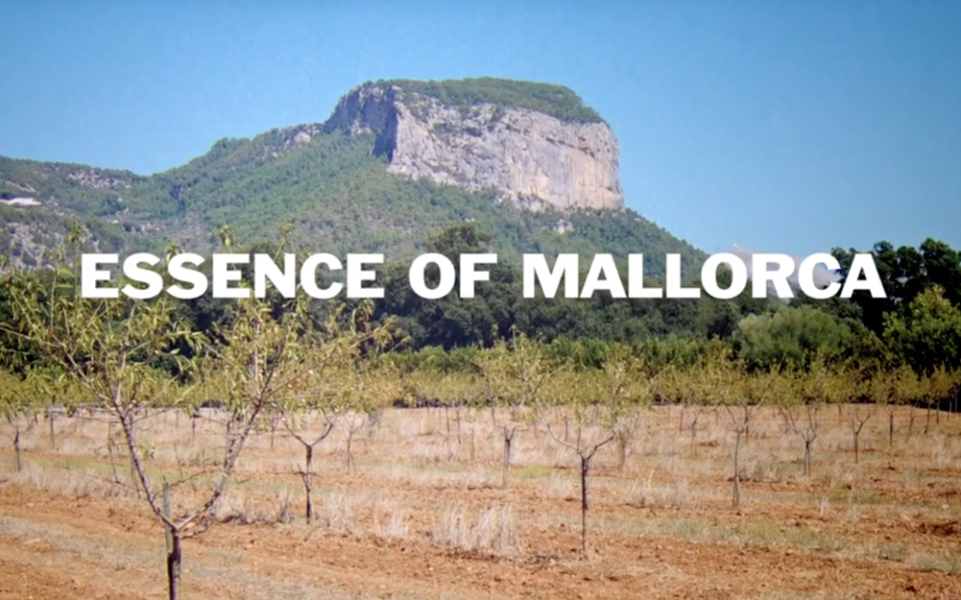 CAMPER: ESSENCE OF MALLORCA